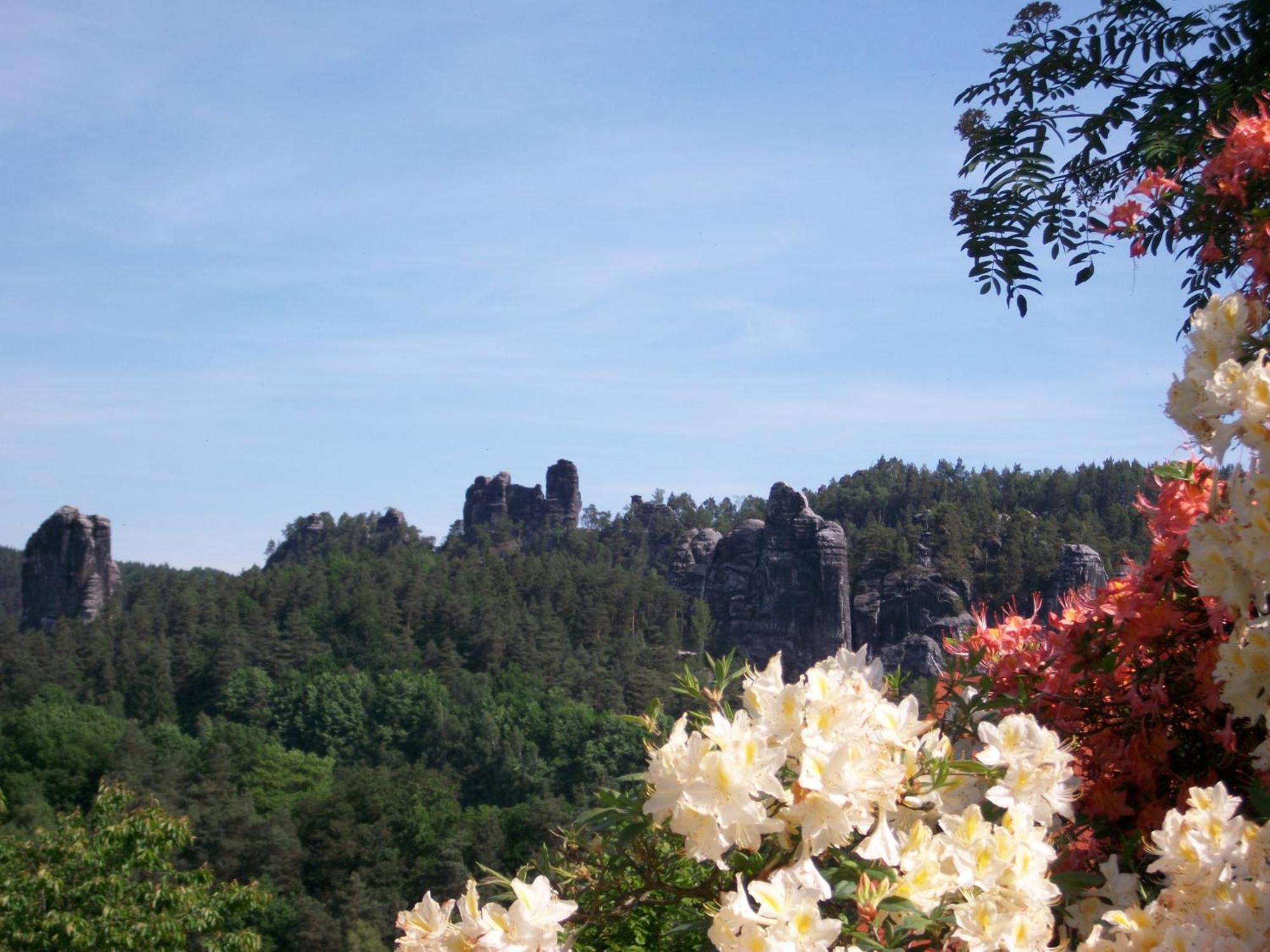 Ferienwohnung Zum Lilienstein Bad Schandau Εξωτερικό φωτογραφία