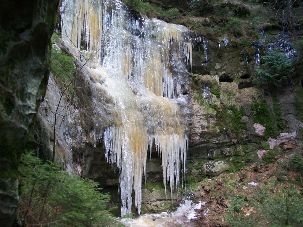 Ferienwohnung Zum Lilienstein Bad Schandau Εξωτερικό φωτογραφία